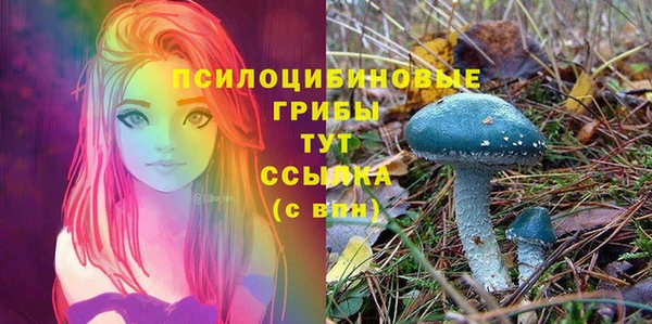 альфа пвп Краснотурьинск