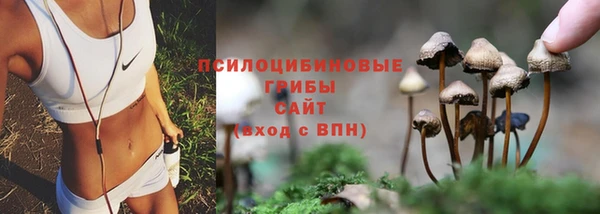 героин Краснослободск