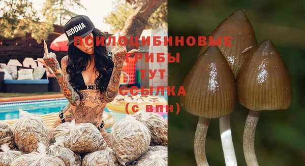 ECSTASY Строитель