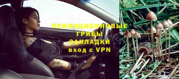 альфа пвп Краснотурьинск