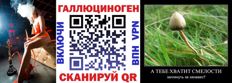 Псилоцибиновые грибы GOLDEN TEACHER  Купить  Весьегонск 
